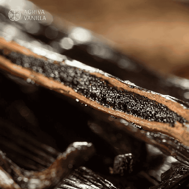 Vanilla from Agriva